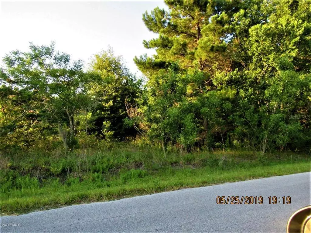 Ocala, FL 34472,00-9 Pine Course PL