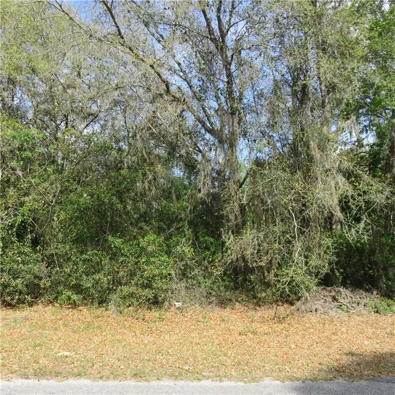 Dunnellon, FL 34432,0 SW 137 AVE