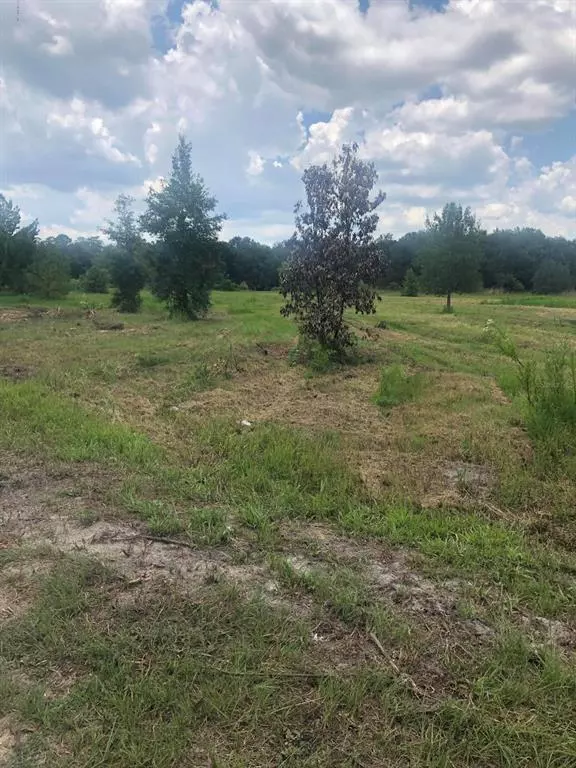 Dunnellon, FL 34432,0 SW 147 LN