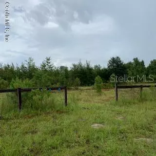 Williston, FL 32696,TBD NE 150th AVE