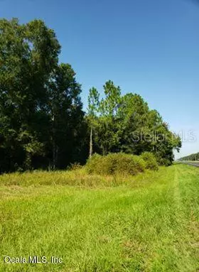 Cross City, FL 32628,TBD NW Hwy 19