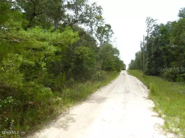 TBD NE 82nd PL, Bronson, FL 32621