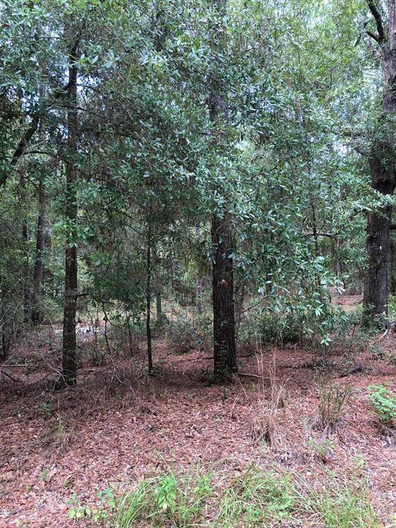 0 SW 203 AVE, Dunnellon, FL 34431