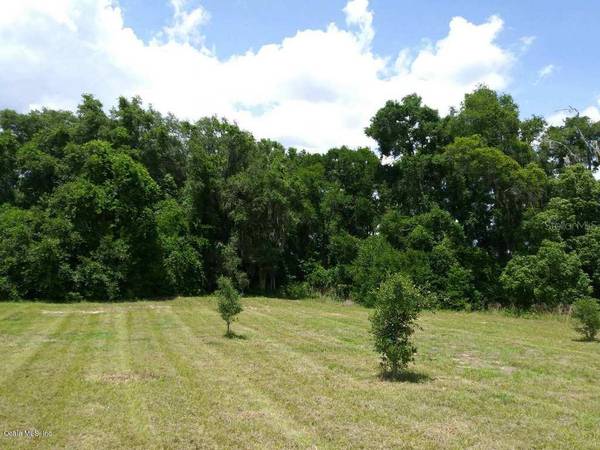 0.31ac SE 142nd PL, Summerfield, FL 34491