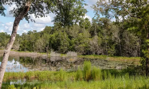 Silver Springs, FL 34488,16925 NE 49th Street RD