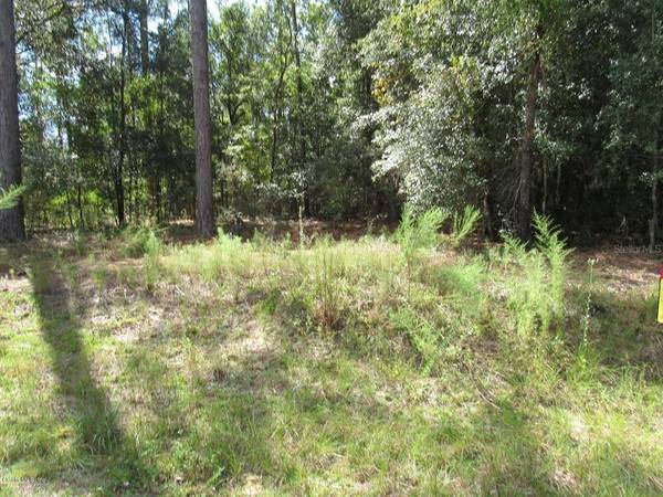 TBD SW 85 LOOP, Dunnellon, FL 34431