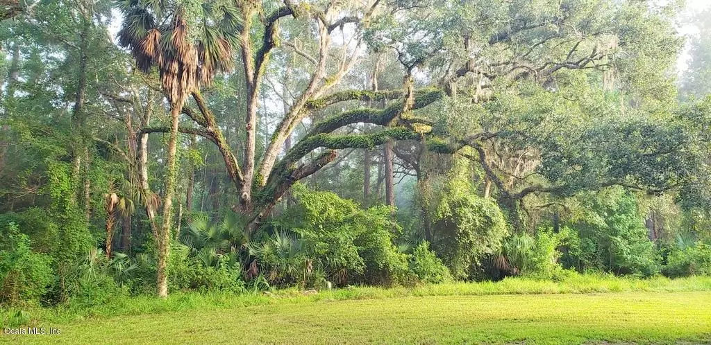 Fort Mccoy, FL 32134,11121 NE 110th Street ST