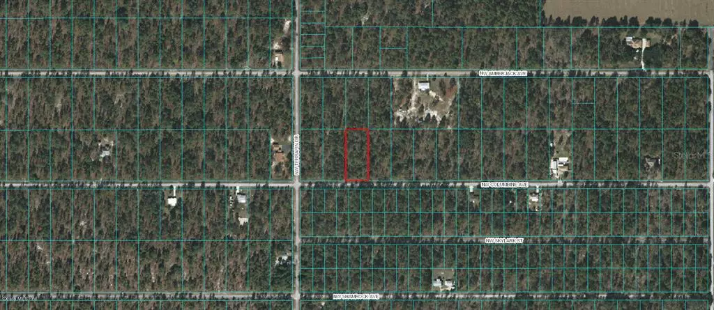 Dunnellon, FL 34431,TBD NW COLUMBINE AVE