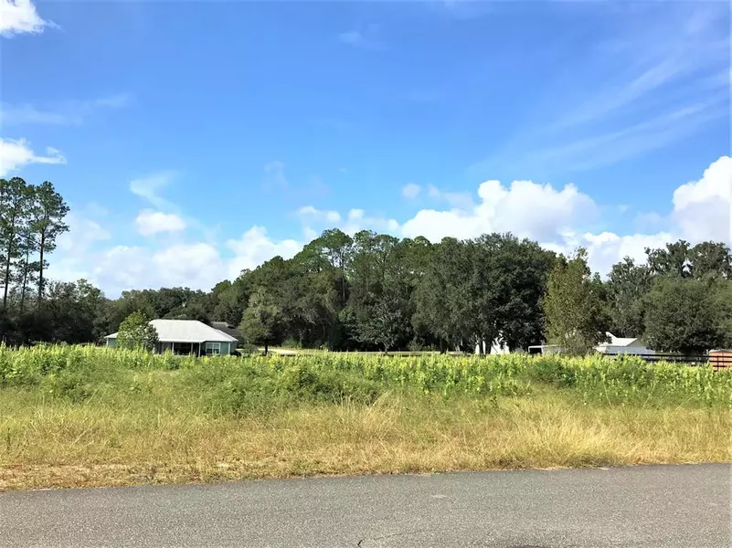 TBD SW 8th DR, Williston, FL 32696