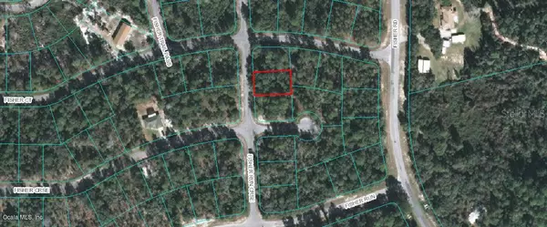 00 Fisher Run CRSE, Ocklawaha, FL 32179