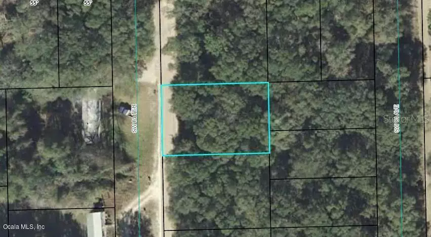 00 SW 81ST TER, Trenton, FL 32693