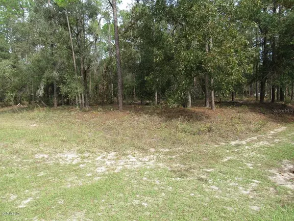 TBD SW 217th Court RD, Dunnellon, FL 34431