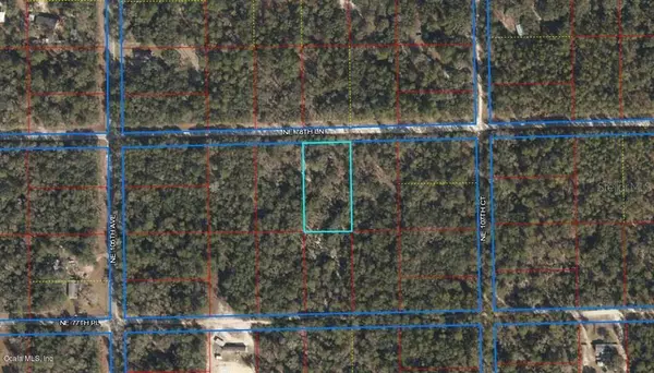 Bronson, FL 32621,10650 NE 78TH LN