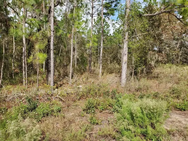 Ocala, FL 34481,TBD SW 121st TER