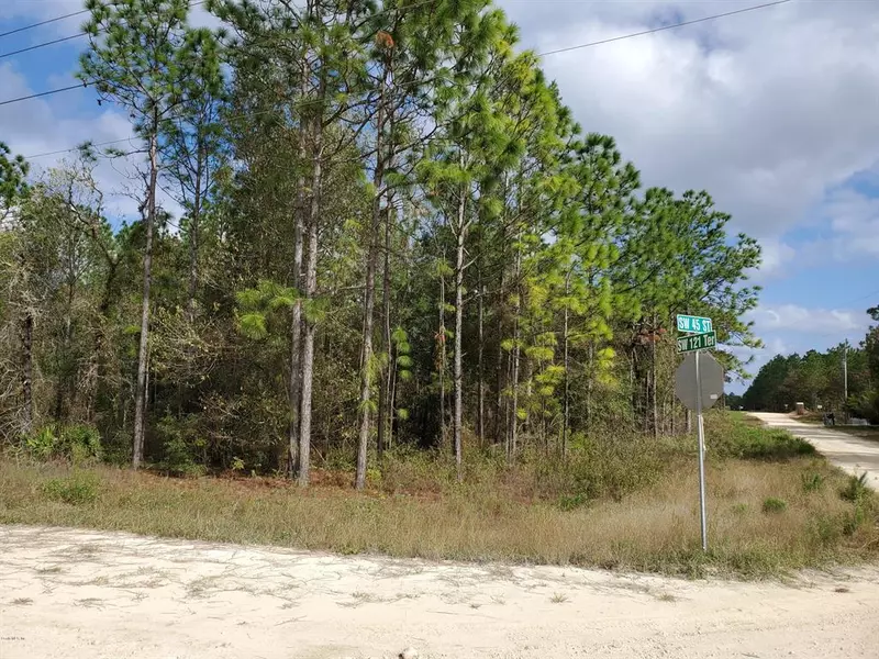 TBD SW 121st TER, Ocala, FL 34481