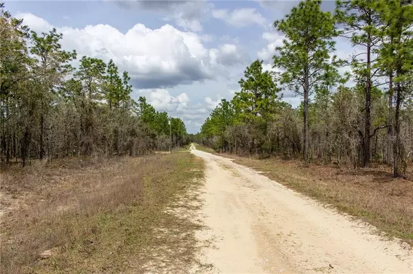 Dunnellon, FL 34432,Lot 4 SW 127th AVE