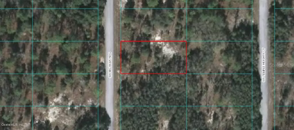 Dunnellon, FL 34431,00 SW BIG BEAR RDG