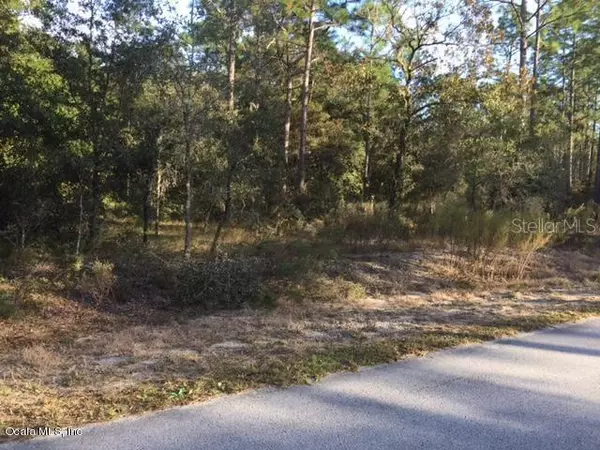 Dunnellon, FL 34431,LOT 4 NW Timberlake RD