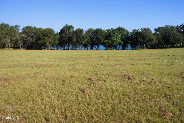 Weirsdale, FL 32195,TBD SE 156th Place RD