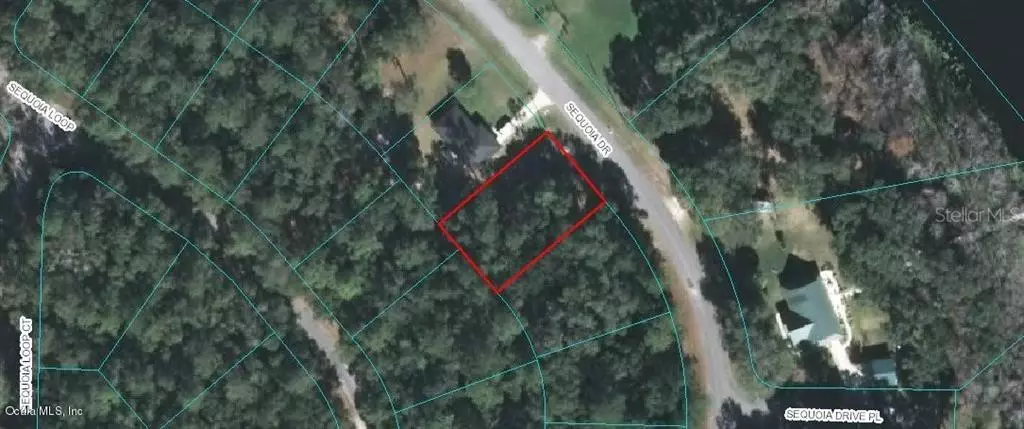 TBD Sequoia DR, Ocklawaha, FL 32179