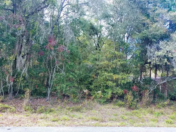 Dunnellon, FL 34432,TBD SW 96th LOOP