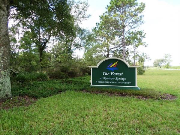 Lot 5 SW 185th CIR, Dunnellon, FL 34432