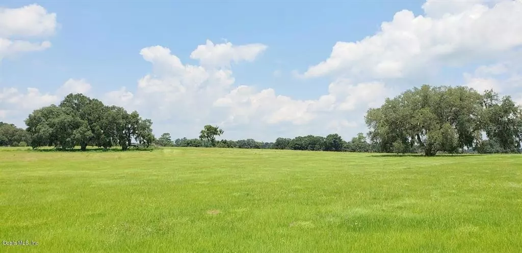 Reddick, FL 32686,141ac NW Gainesville Rd (aka Hwy 25A)