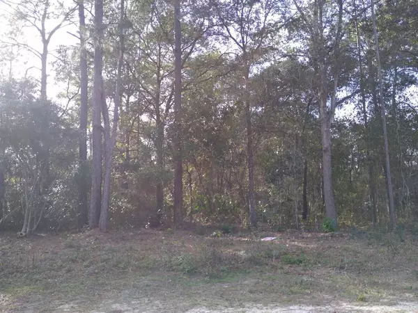 00 SW 181 CT, Dunnellon, FL 34432