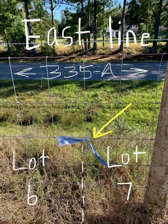 Williston, FL 32696,Lot 6 NE 167 CT