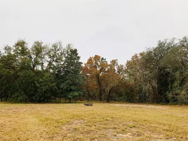 Ocala, FL 34481,16931 W Hwy 40