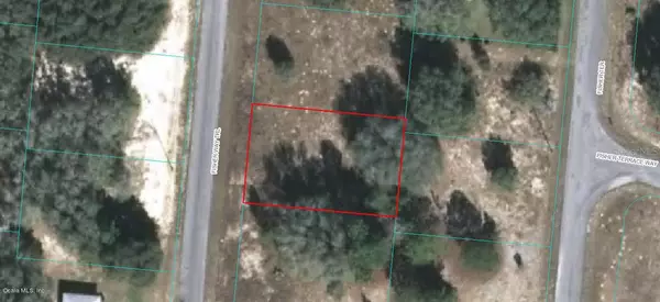 0 Fisher Way Trail, Ocklawaha, FL 32179