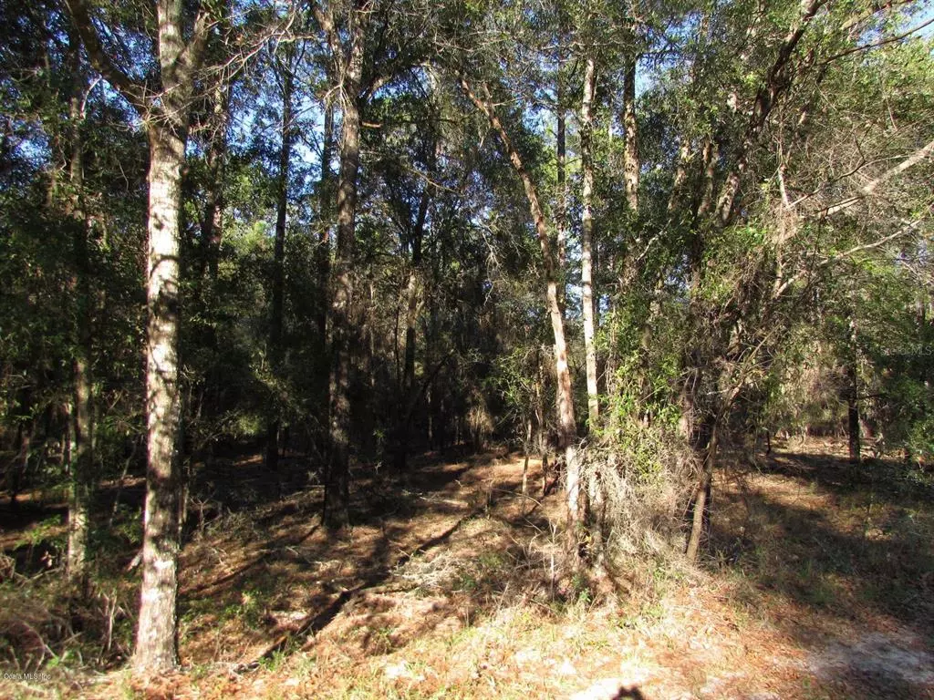 Dunnellon, FL 34432,Lot 9 SW 73rd Loop