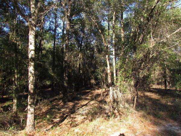 Lot 9 SW 73rd Loop, Dunnellon, FL 34432