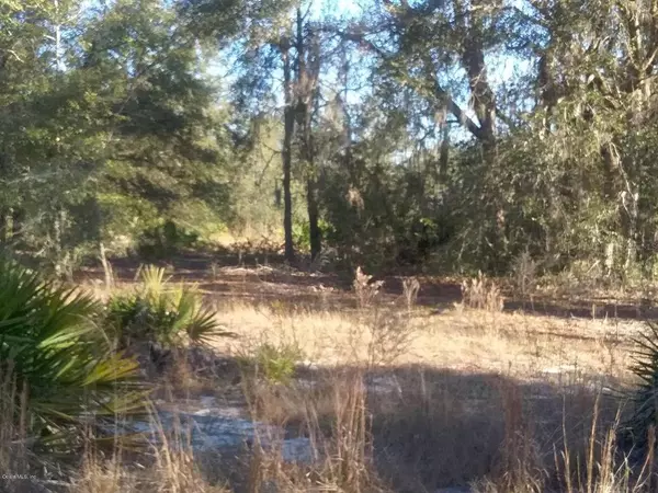 Dunnellon, FL 34431,Lot 12 SW SOUTH HILLS CT