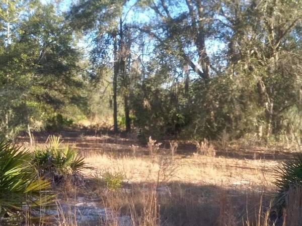 Lot 12 SW SOUTH HILLS CT, Dunnellon, FL 34431