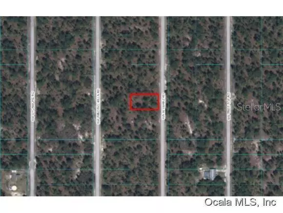 Dunnellon, FL 34431,0 SW Alvarez RD