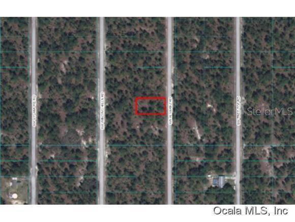 0 SW Alvarez RD, Dunnellon, FL 34431