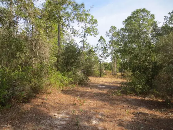 0 SE 183rd Avenue RD, Ocklawaha, FL 32179