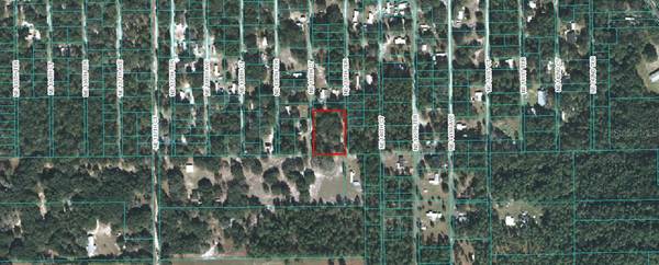 16320 NE 139TH TER, Fort Mc Coy, FL 32134