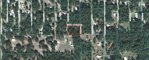 NE 140TH CT NE 140TH CT, Fort Mc Coy, FL 32134
