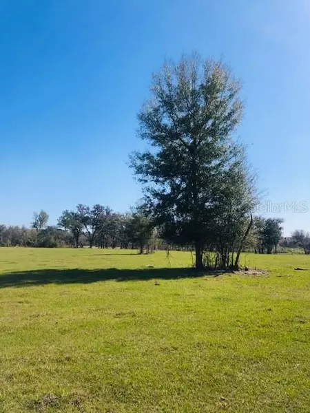 0 NW 145TH AVENUE, LOT 3, Morriston, FL 32668