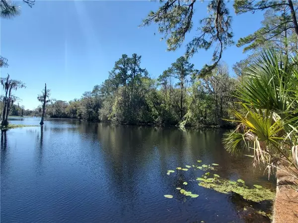 Dunnellon, FL 34431,11700 CHEROKEE CIR