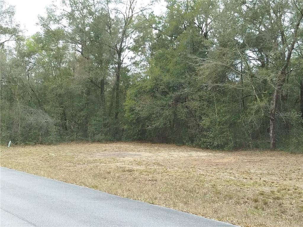 00 SW 202 CT, Dunnellon, FL 34431