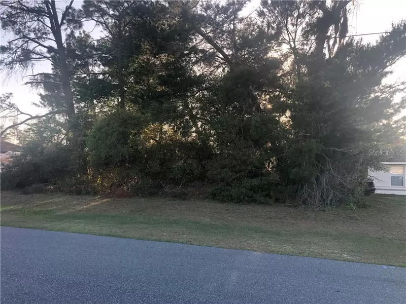 SW 22 CT, Ocala, FL 34473