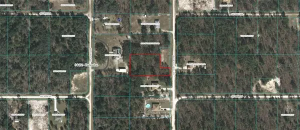 TBD SW 125TH COURT RD, Dunnellon, FL 34432