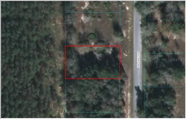 TBD MALAUKA LOOP, Ocklawaha, FL 32179