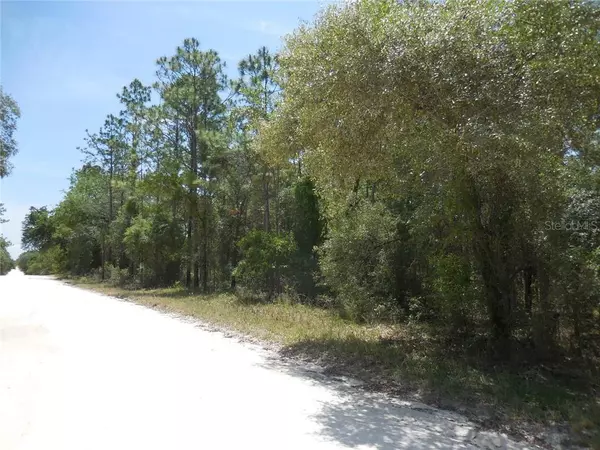 Morriston, FL 32668,14190 SE 23RD PL