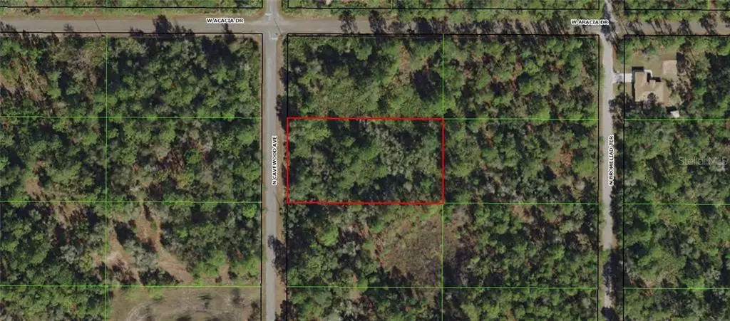 Crystal River, FL 34428,9381 N CAVEWOOD AVE