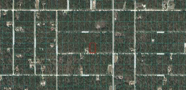 Dunnellon, FL 34432,0 SW 76 LN