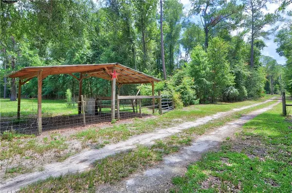 Micanopy, FL 32667,12077 SW 5TH TER